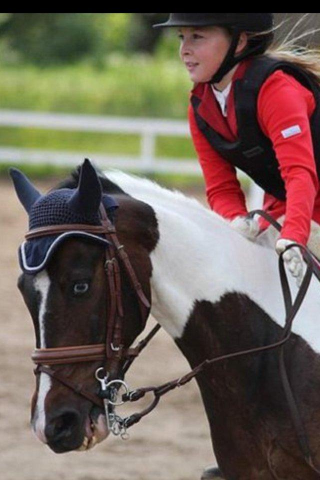 Pinto Clements Spotty Monty billede 13