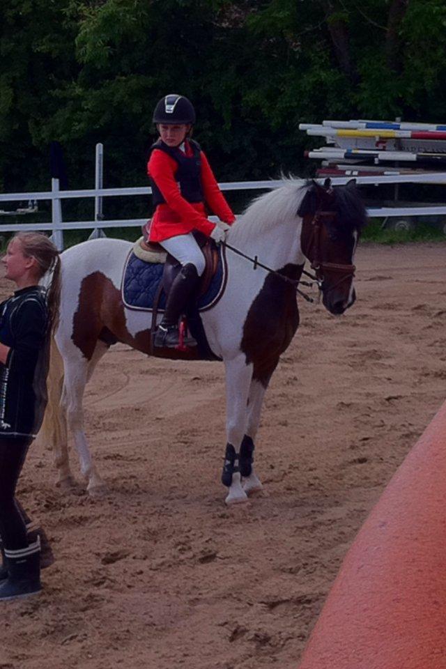 Pinto Clements Spotty Monty billede 16