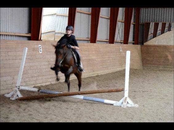 DSP RONJA - Hun bruger ryggen rigtig godt!! billede 6