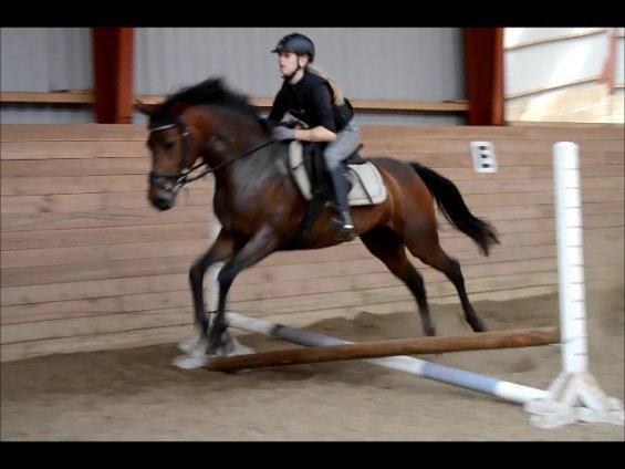 DSP RONJA - sweet! billede 7