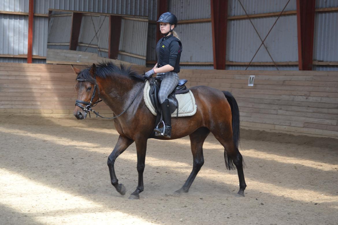 DSP RONJA billede 10