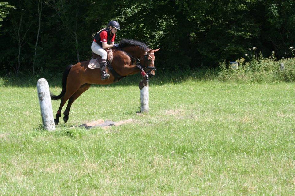 New Forest Birkilds Veronica - A loving heart is the truest wisdom<3 billede 6