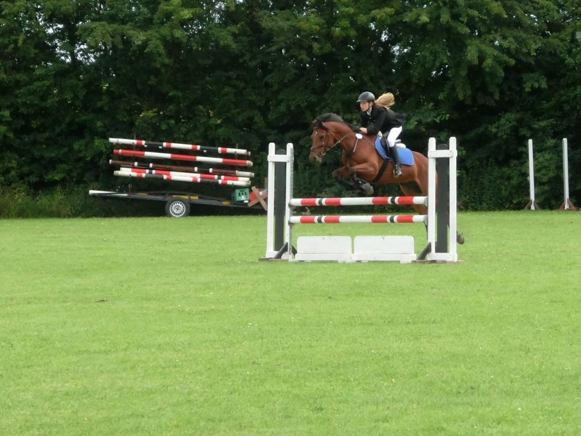 Anden særlig race OZZY - C - stævne i Slangerup d. 13/juli - 2012 billede 16