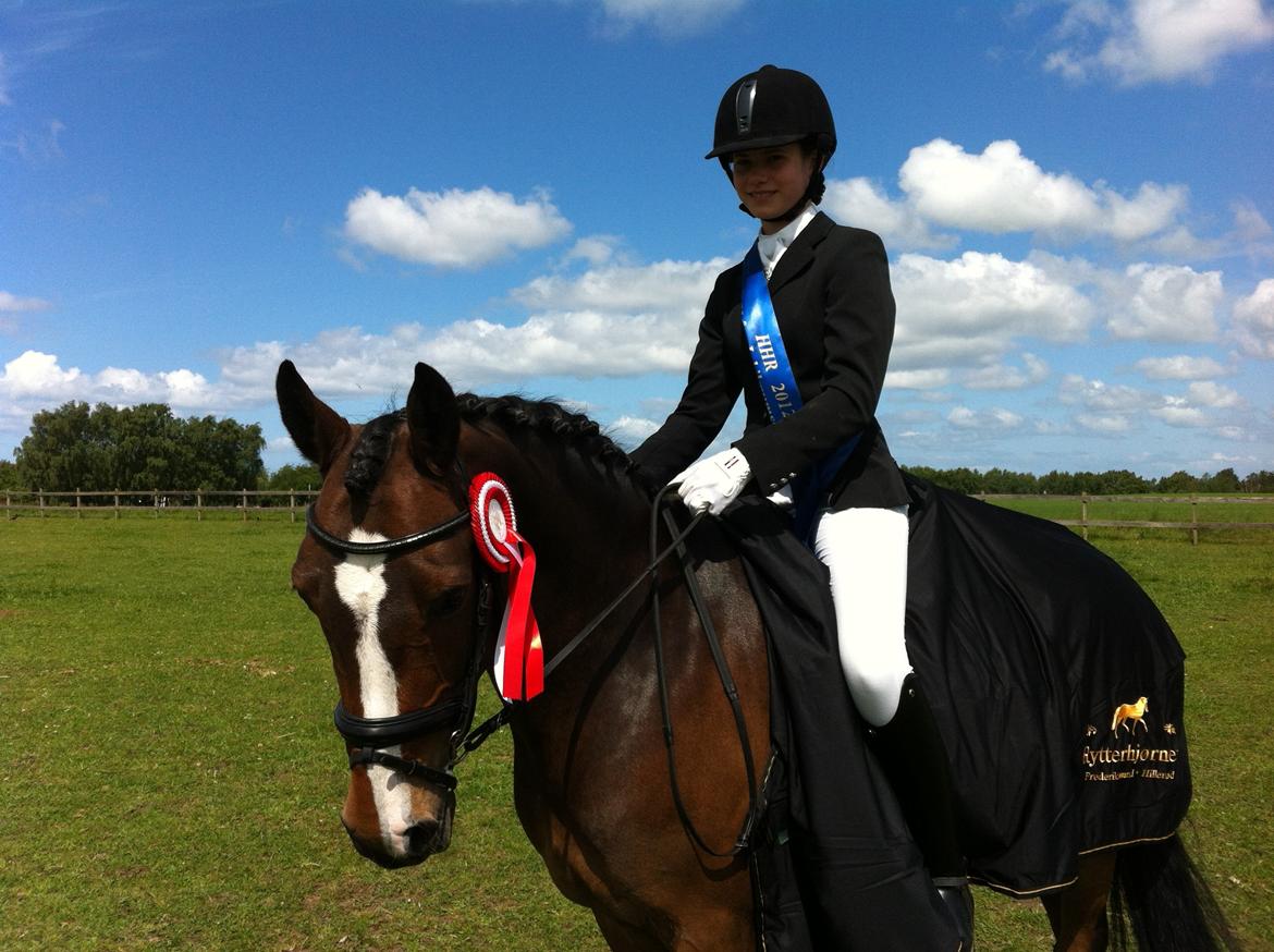 Anden særlig race Dream step *A- PONY!* - Vinder af PRT. billede 1