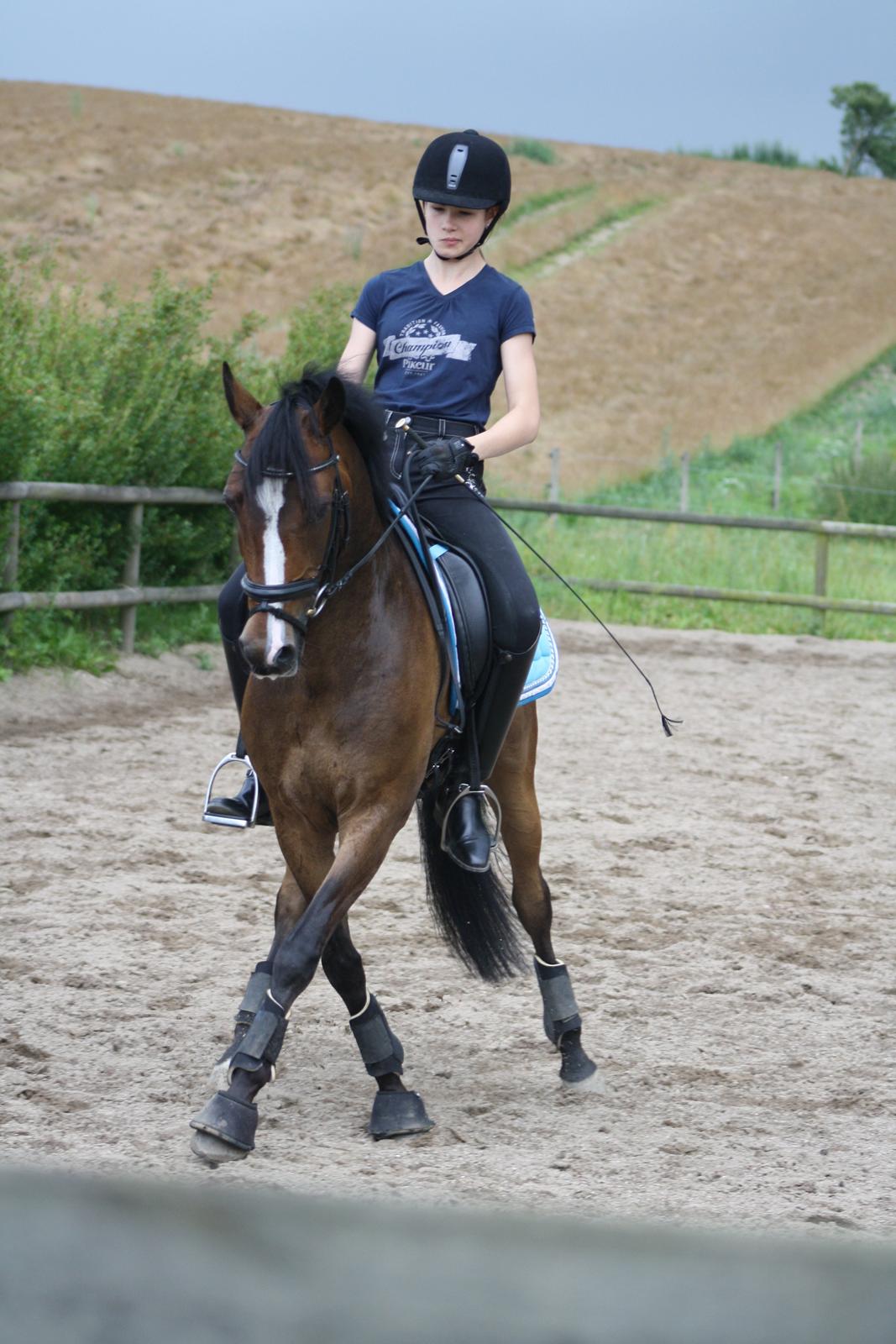 Anden særlig race Dream step *A- PONY!* billede 16