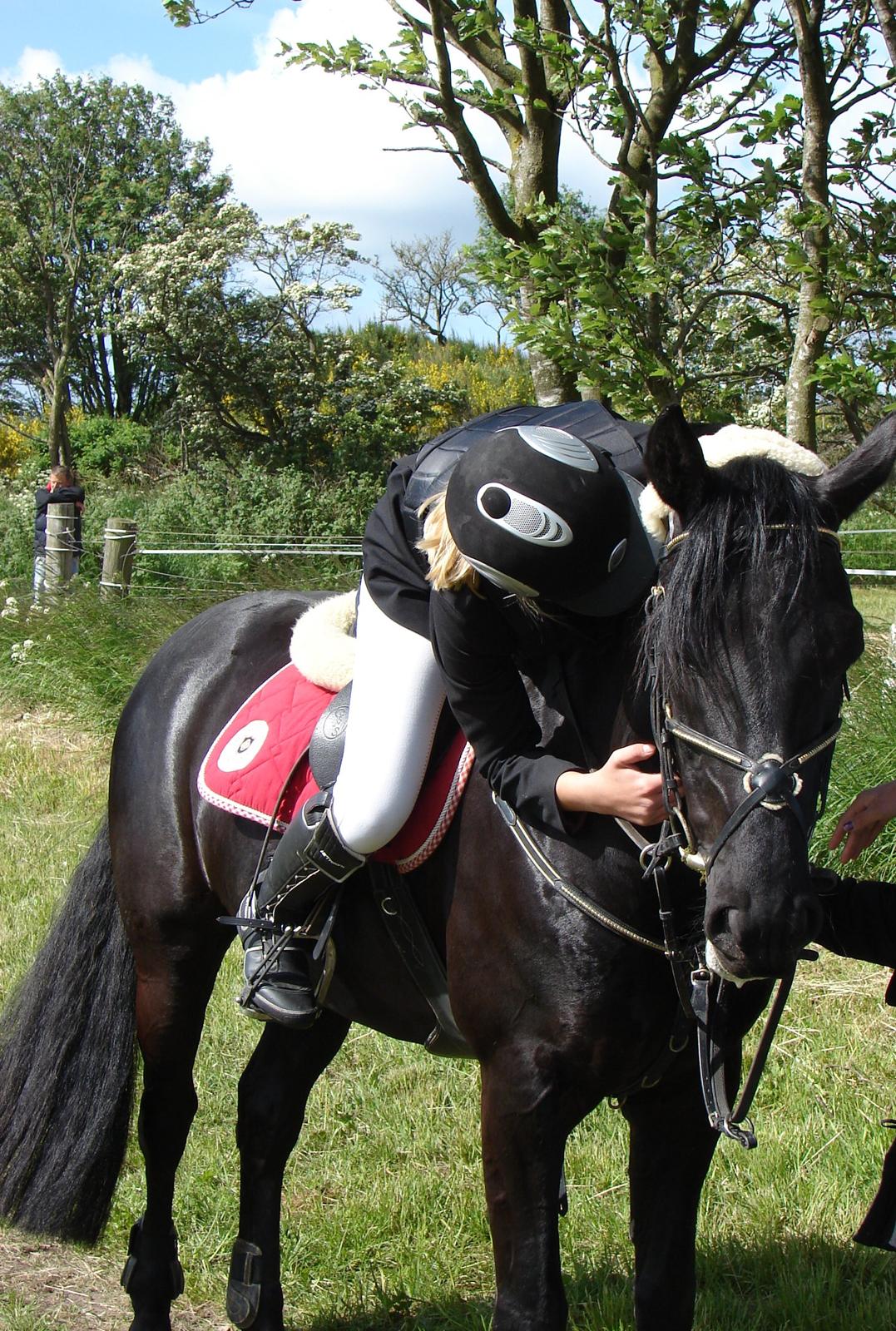 Anden særlig race Medomgårds Malle (Pensioneret) billede 3