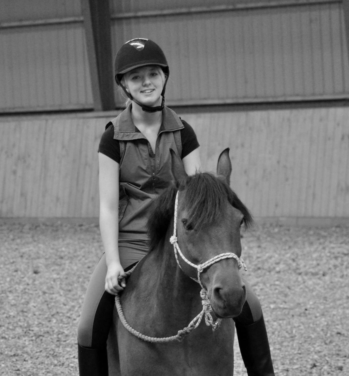 New Forest Max - Nogle mener at du "bare" er en hest, men næ nej. Du er min bedste ven♥ billede 5