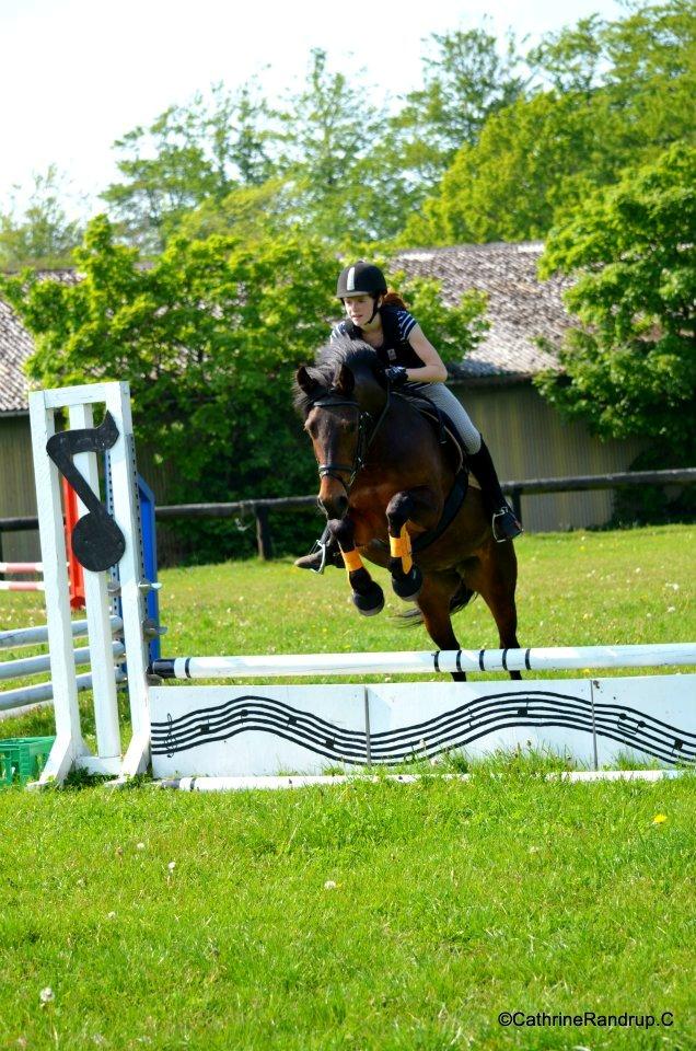 Anden særlig race Jannie<3 - Et af mine mange yndlingsbilleder1<3<3 Elsker diig!;) billede 12