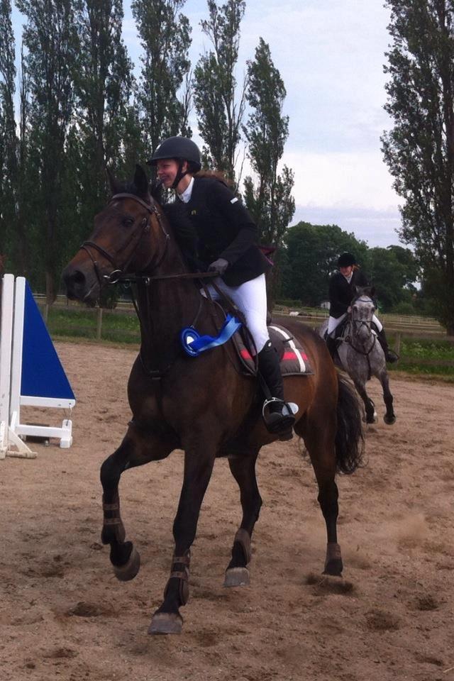 Dansk Varmblod Bounty Hunter billede 16