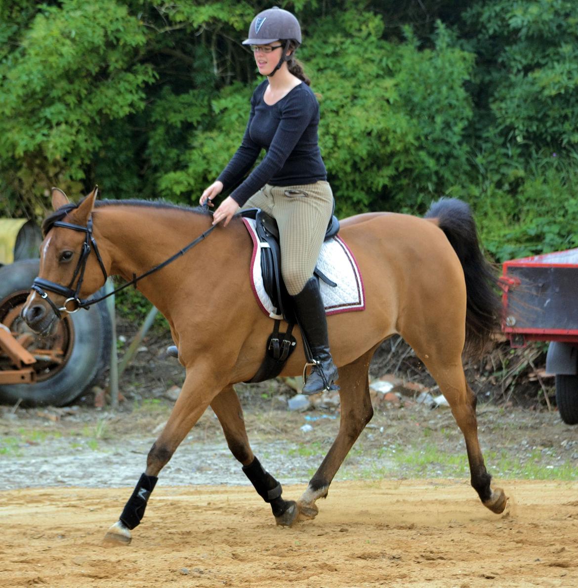 Arabisk fuldblod (OX) cherelda billede 8