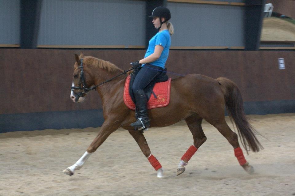 DSP Fan dango AM<3 *ikke min låne pony mere* - Sikke en dejlig fritrav han har!! :D<3 billede 13