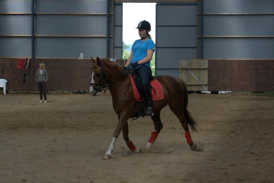 DSP Fan dango AM<3 *ikke min låne pony mere* billede 8