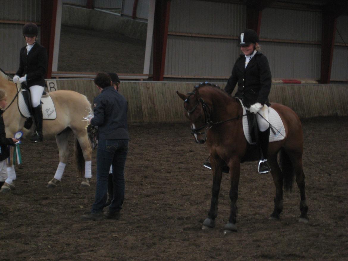 Anden særlig race Tabasco SOLGT Himmelhest - Stævne på stald hesselbjerge:-) billede 8