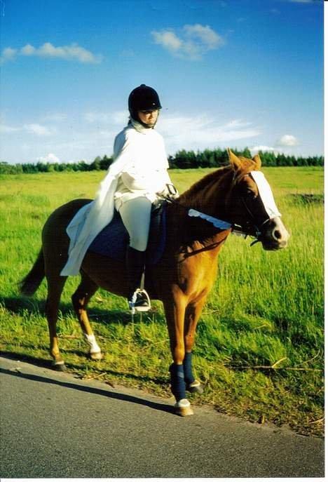 Anden særlig race Tequila - Omkring 1999/2000 vil jeg tro, til Sankt Hans billede 8