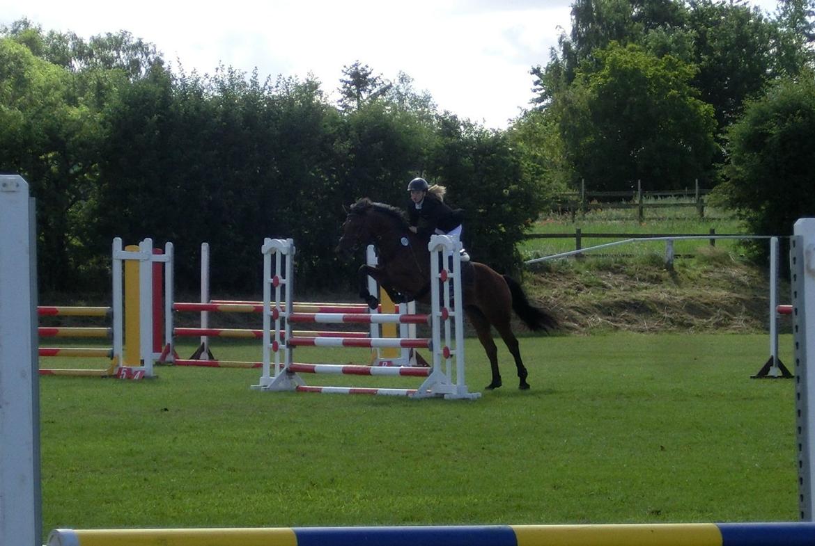 Anden særlig race OZZY - C - stævne i Slangerup d. 15/juli - 2012 billede 17