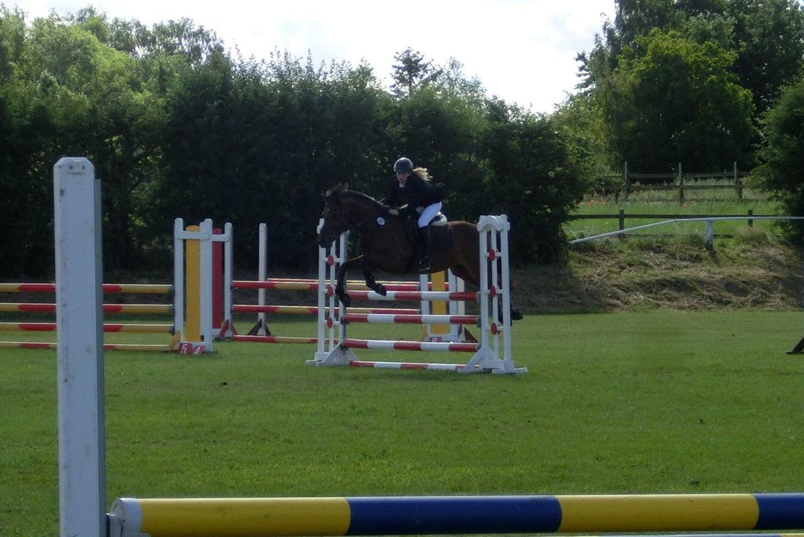 Anden særlig race OZZY - C - stævne i Slangerup d. 15/juli - 2012 billede 18