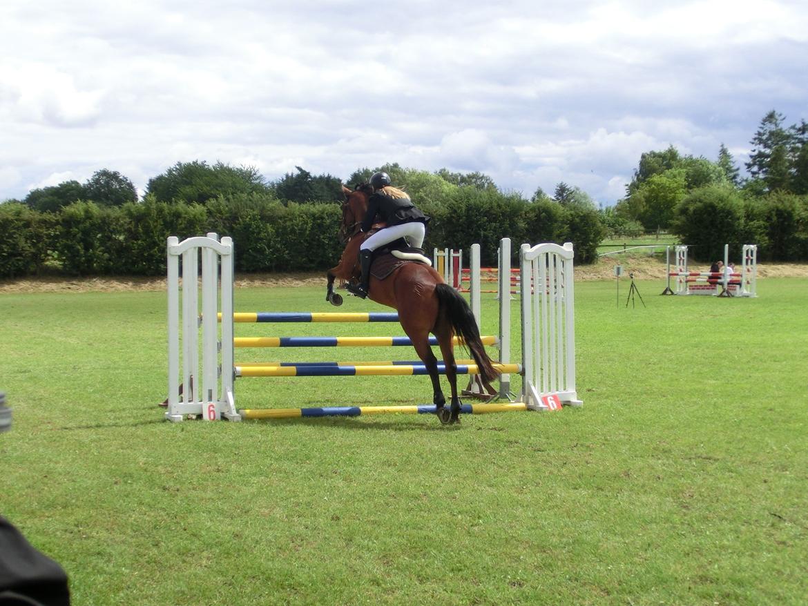 Anden særlig race OZZY - C - stævne i Slangerup d. 15/juli - 2012 billede 20