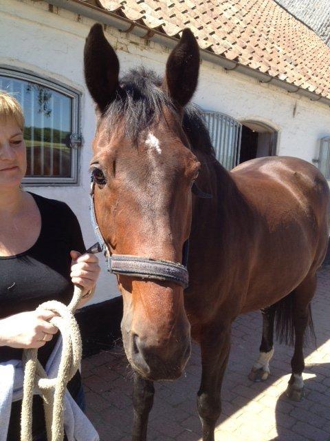 Holstener Mailunds Lalina billede 2