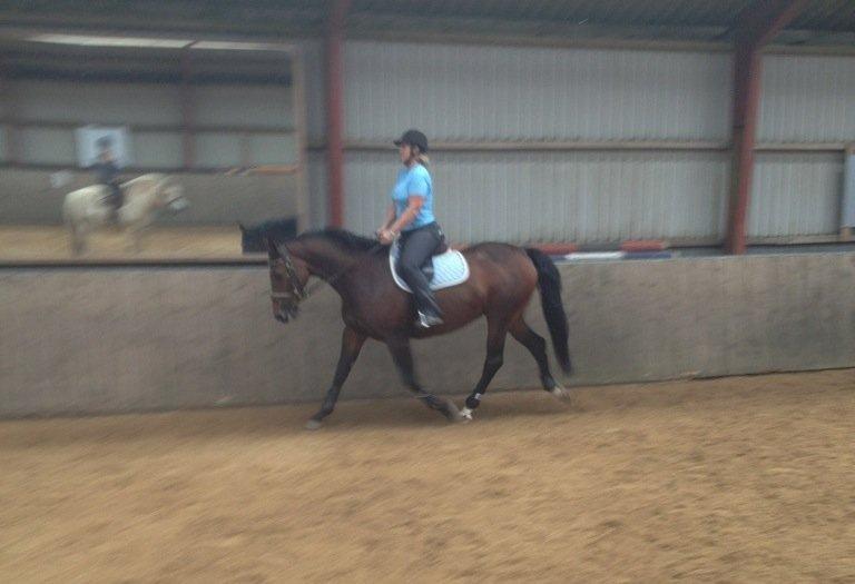 Holstener Mailunds Lalina - Trav første gang på Bakkely billede 14