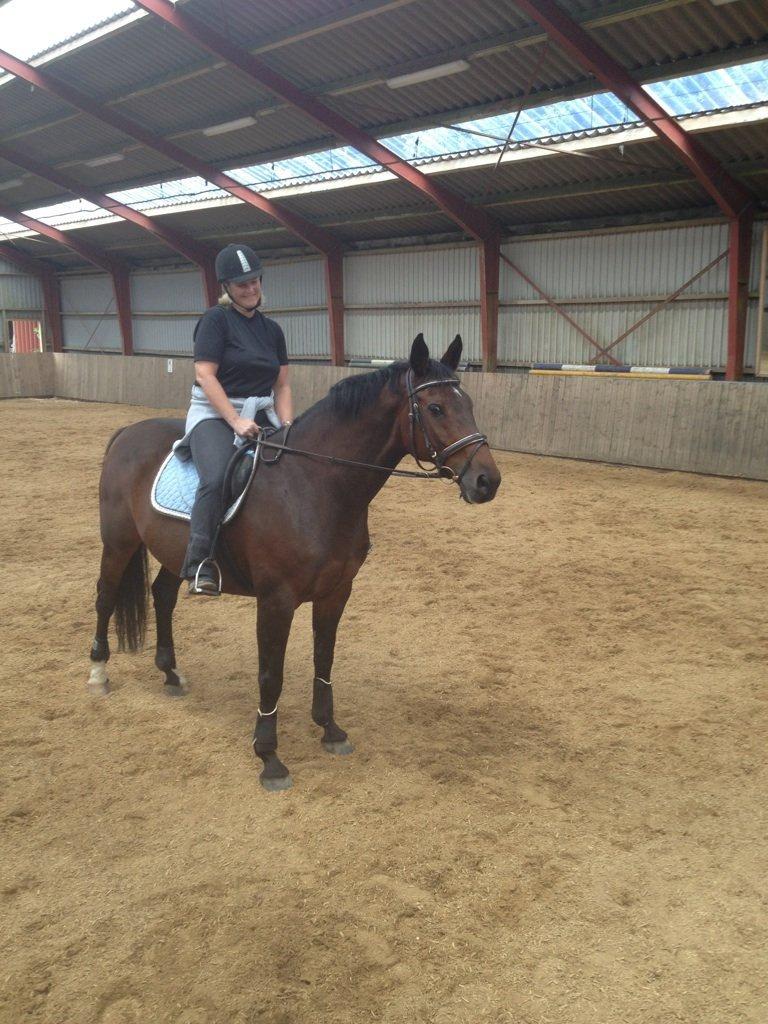 Holstener Mailunds Lalina - Stolt og glad ny ejer, første gang på ryggen af Lalina hjemme billede 13