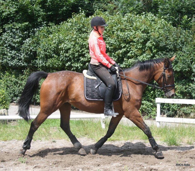 Anden særlig race Mona billede 10