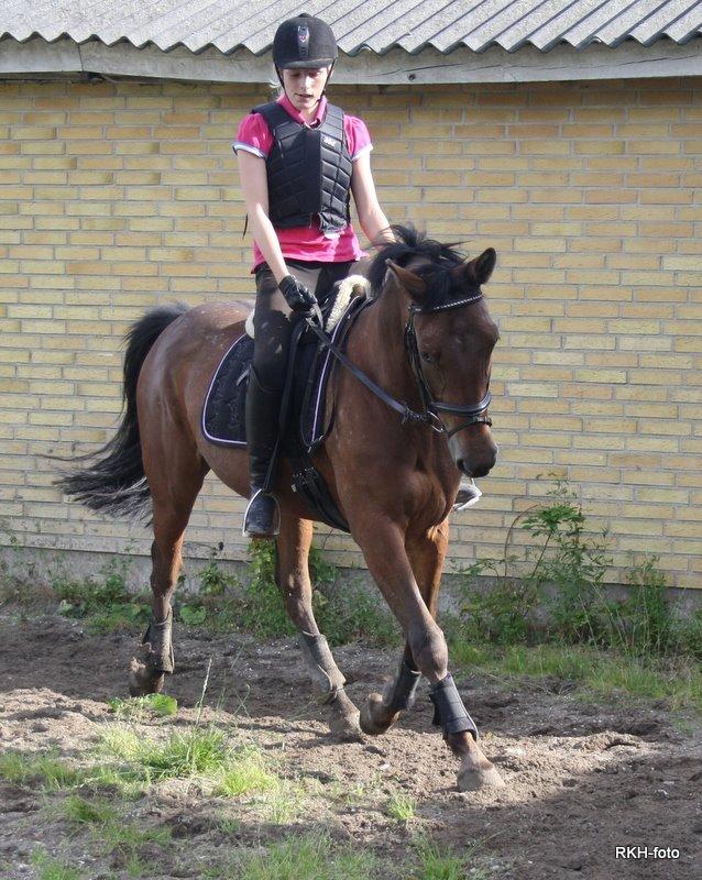 Anden særlig race Mona billede 13