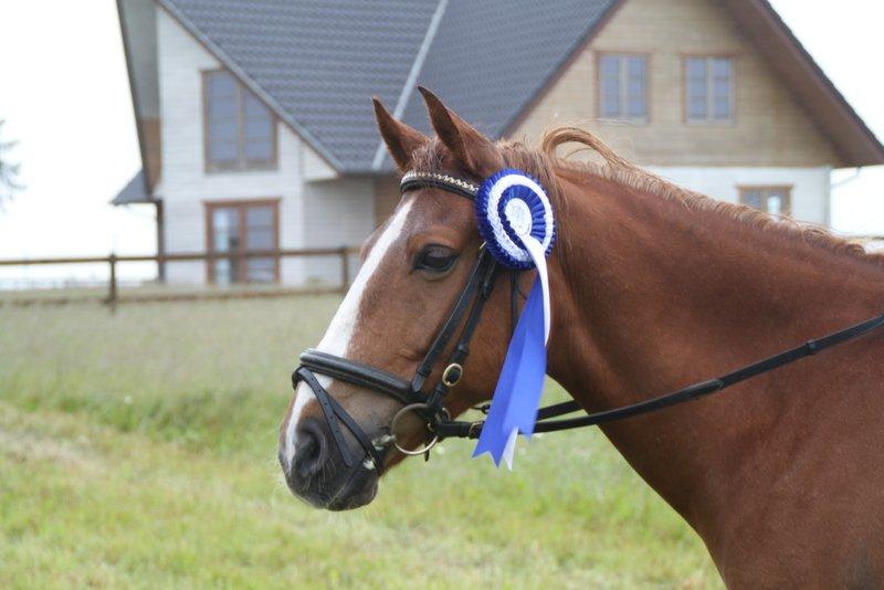 Anden særlig race Aschia - En flot 2 plads :-)  billede 11