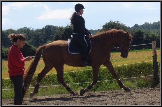 Dansk Varmblod | Poppelgårdens Atika - Atika og jeg. Foto: Stefanie, 12. juli 2012. billede 10