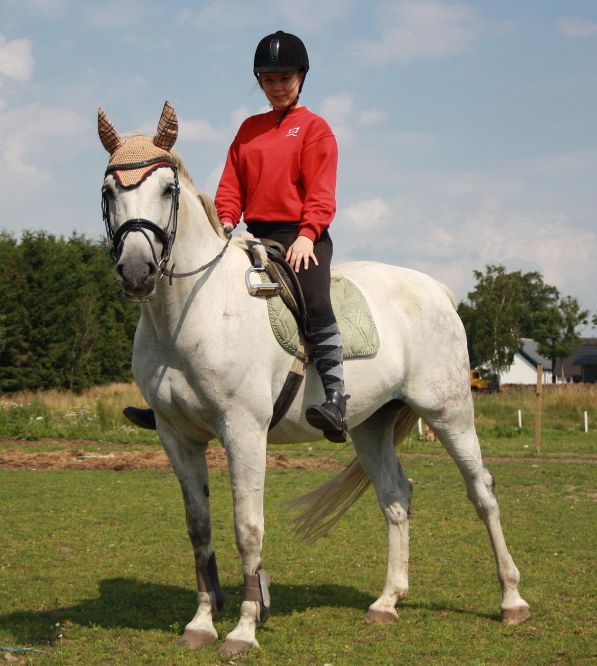 Holstener Calina billede 14