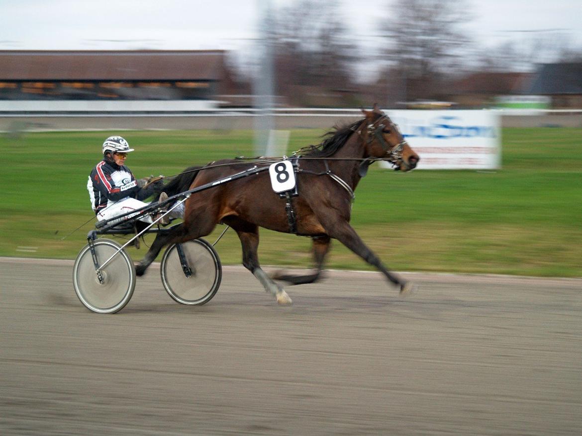 Traver Marquise De Vie billede 3