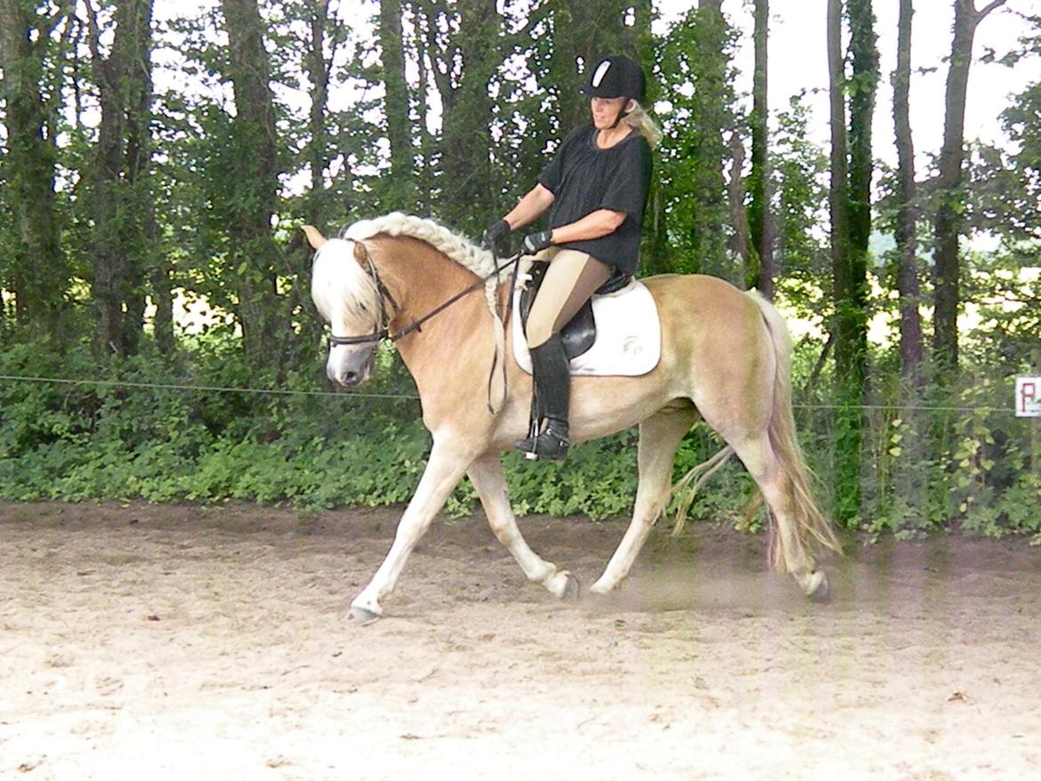 Haflinger Nyegaards Nascha EHA 573. - Juli 2012. På Hannes bane og øve lidt - Pyha, jeg er noget rusten.. :) billede 20