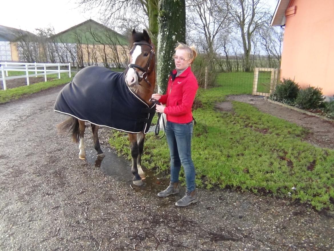 Anden særlig race Kaspar billede 18