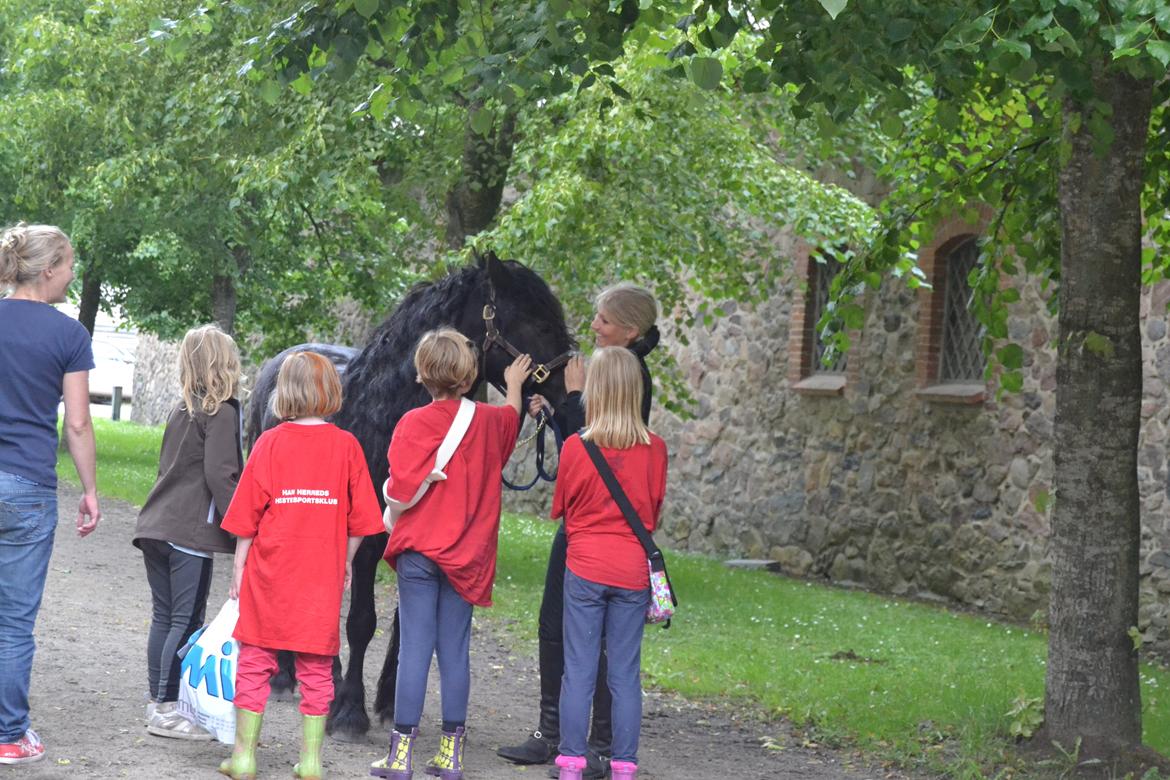 Fell pony Bygballegaards Bashim - Det er svært at gå i fred, når man ser godt ud :-) billede 10