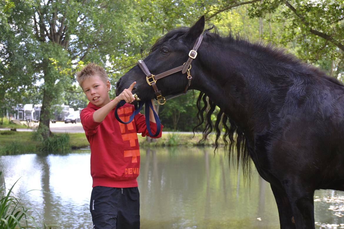 Fell pony Bygballegaards Bashim billede 14