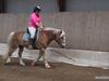 Haflinger Oskar [Tidl. part]