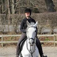Trakehner LucieIII(Petruska)