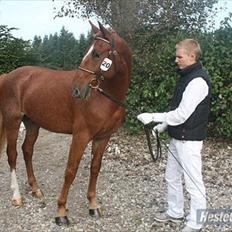 Frederiksborg Smakkerups Tayson