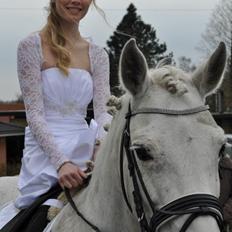 Connemara Don Quixote