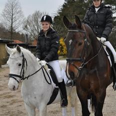 Connemara Don Quixote