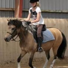 Anden særlig race Bonni