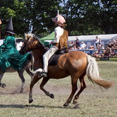 New Forest Lundemarksgaards Sol