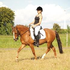 Anden særlig race Tarzan