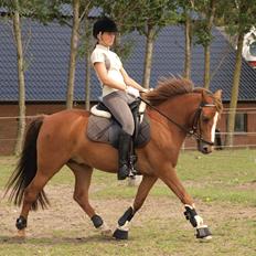 Anden særlig race Tarzan