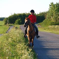Anden særlig race Tarzan