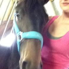 Oldenborg Gørklintgårds Dancing Daisy