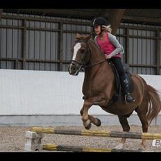 Anden særlig race Tim. <3(red :-'( )