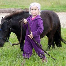 Anden særlig race lulle