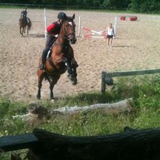 Anden særlig race T-Rex