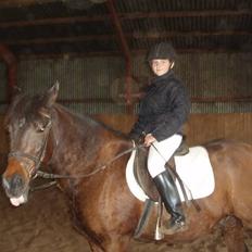 Anden særlig race Laban