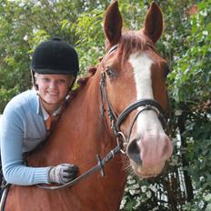 Frederiksborg Icarus Mignon